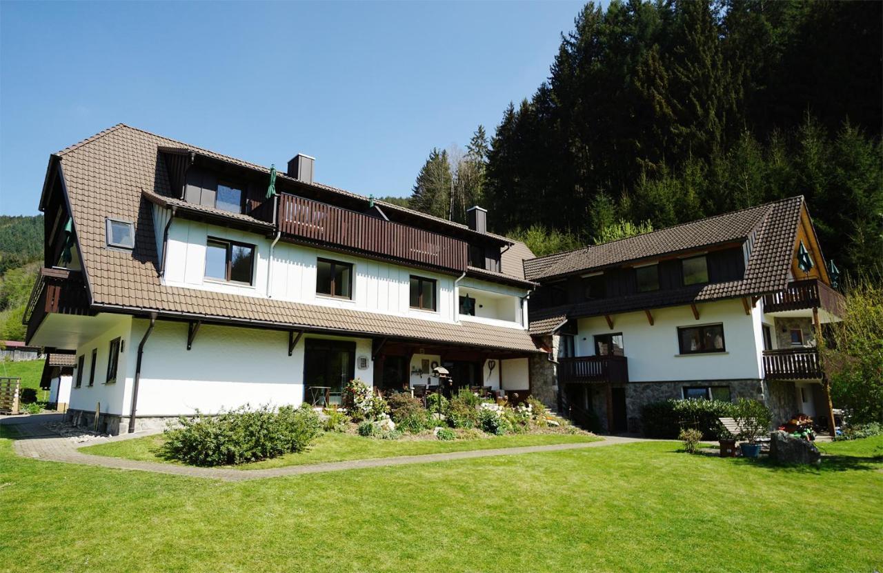 Kandel - Stubenhof, Black Forest Apartment *
